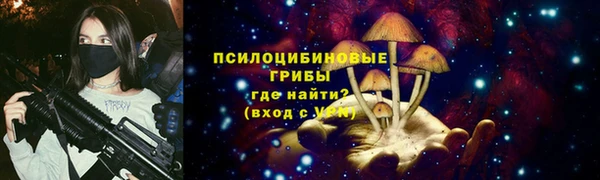 индика Вязники