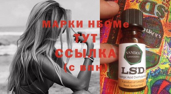 индика Вязники