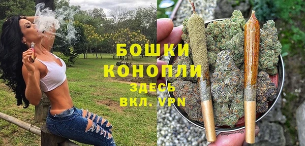 гидропоника Вяземский