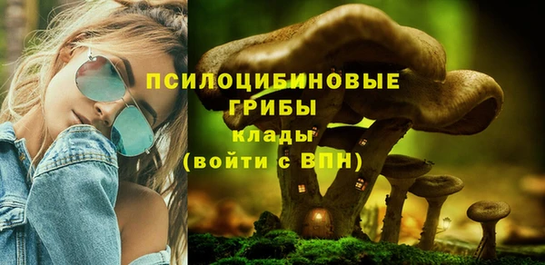гидропоника Вяземский