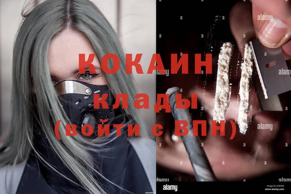 шишки Вязьма