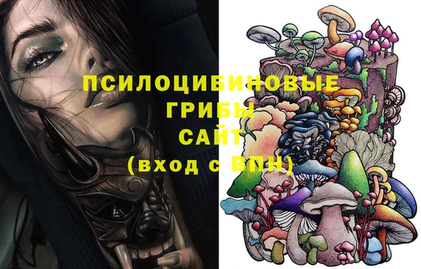 шишки Вязьма