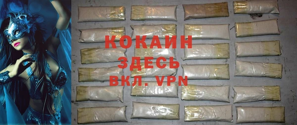 индика Вязники