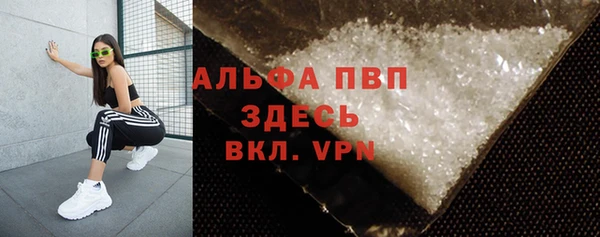 индика Вязники