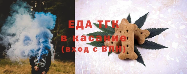 индика Вязники
